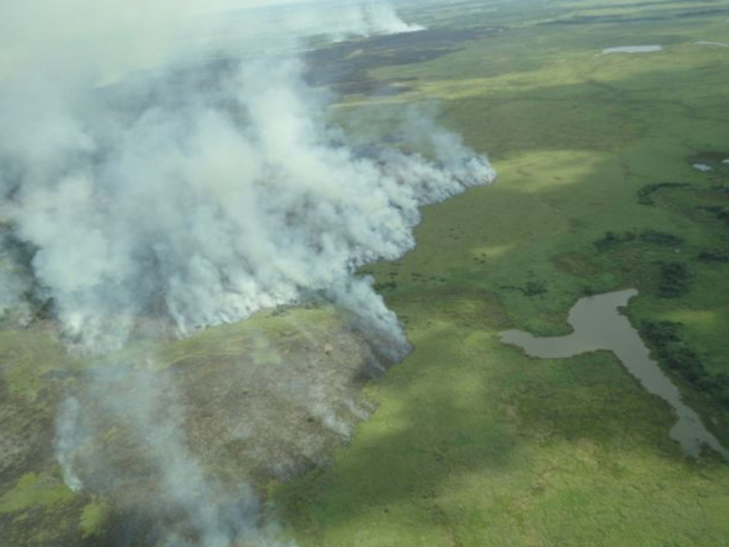 Incêndio no Parna Pantanal