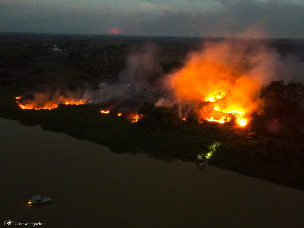 Incêndios no Pantanal de Mato Grosso em novembro de 2023
